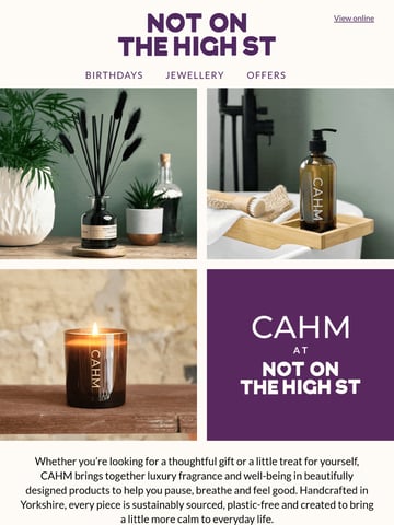 Email Inspiration from Not On The High Street Thumbnail Preview