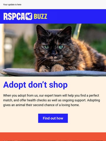 Email Inspiration from RSPCA Thumbnail Preview