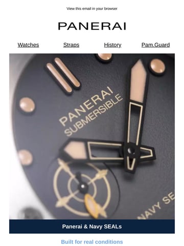 Email Inspiration from PANERAI Thumbnail Preview