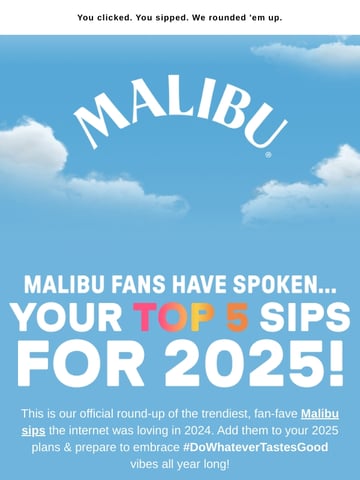 Malibu News Email Design Thumbnail Preview
