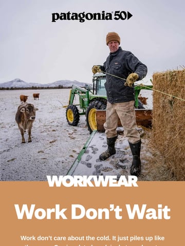 Patagonia Email Design Thumbnail Preview