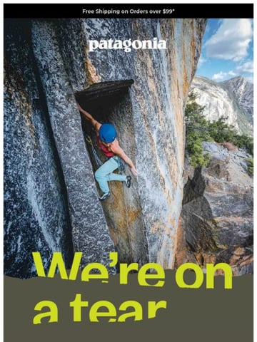 Patagonia Email Design Thumbnail Preview