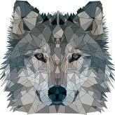 Black Wolf