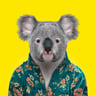 My Queensland logo