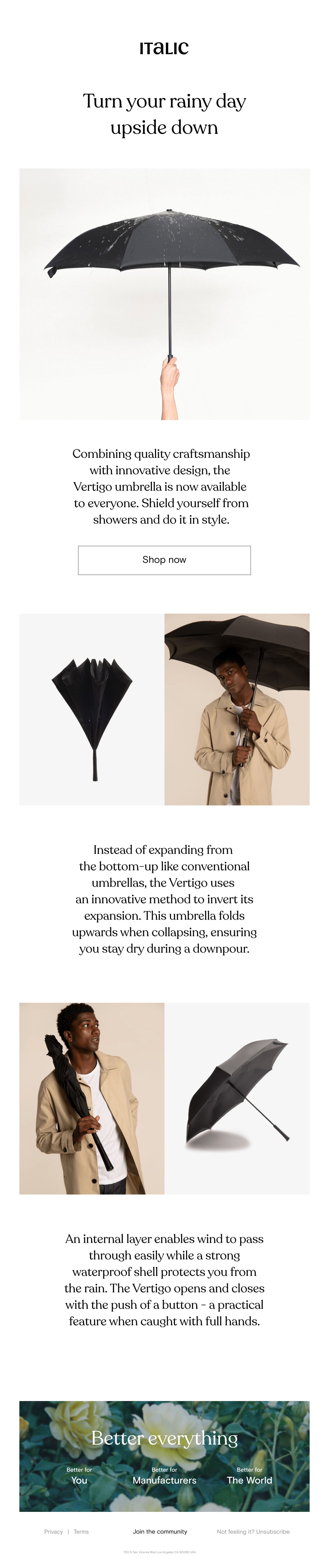 Meet the Vertigo Umbrella Email Screenshot